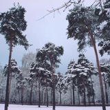 Зелёная Преображенка