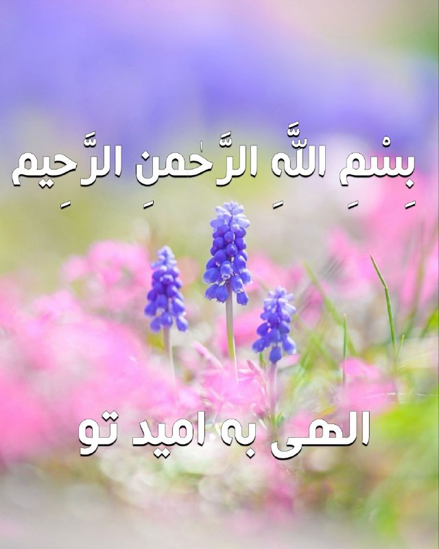 🌟 انرژی مثبت 🌟: 🍃🌸صبح را آغاز می کنیم با نام دوست جنبش عالم همه با یاد اوست آن خدایی که عشق 💕🍃🌸را در ما نهاد مهر و محبت هرچه زیبایی در ا