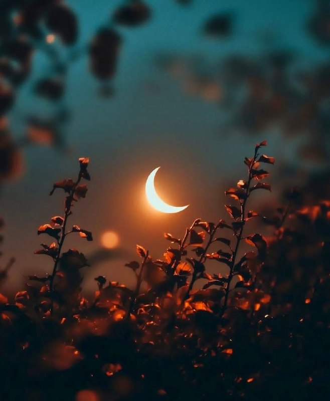 ❤️ڪافـه شـ؏ـر مجنـون❤️: یک شب بکوب کوبهی در را و باز شواینجا چراغ چشمبهراهی هنوز هست...#سعید_بیابانکی♥️☕️ @caafee