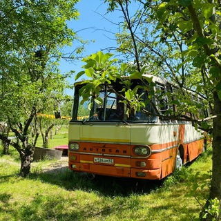 Телепортация в Арт-Ковчег