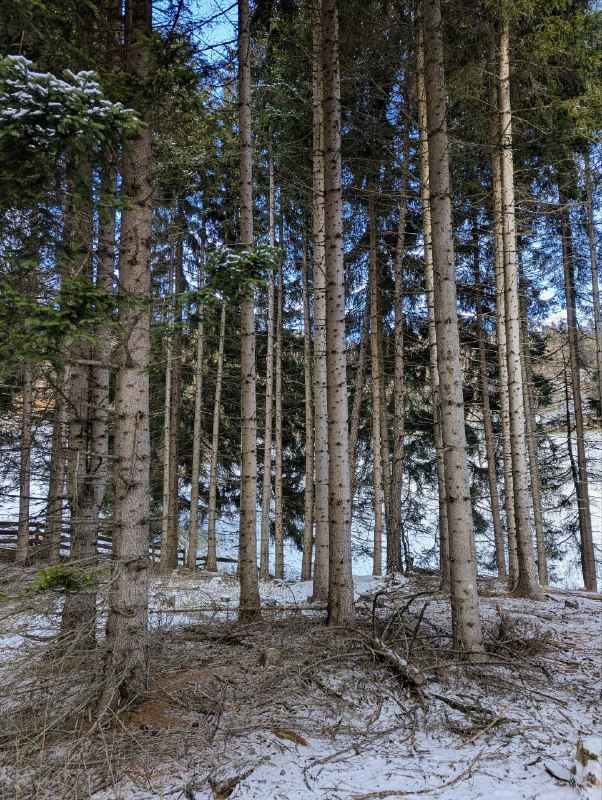 Изображение 8