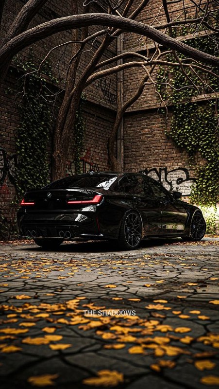 BMW M Powerhttps://t.me/bmw_mpower_club@bmw_mpower_club#bmw #mpower #bmwmpower #