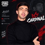 Cardinal ARENDA