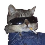 hhxwyti