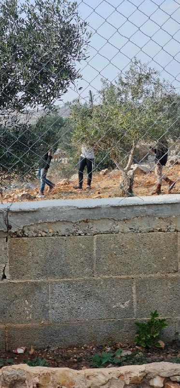 מתנחלים תוקפים את ביתו של הפלסטיני "בזיל יאסין" באזור נסבה בכפר יאסוף, מזרחית לסלפית