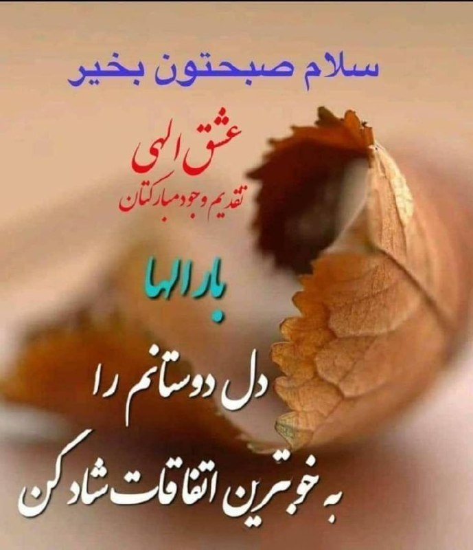 💞پندانه💞: خدای مهربانم .در این روزگار غریب تنها تو را دارم پروردگارا! درهای لطف تو باز است در این روزهای معنویدست هایم را به آسمان