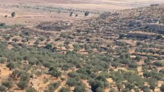 מתנחלים דוחסים אדמות חקלאים בדחפור באזור אל-חלח ואדי עמר בעיירה טורמוס איה, מצפון לרמאללה.