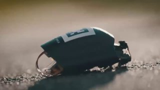 🔥 Таргани-кіборги — звучить як фантастика, але це вже реальність.