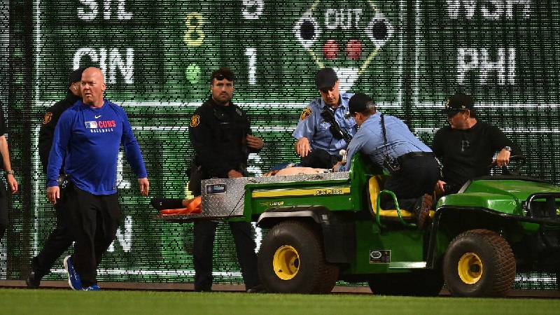 Fan who fell out of stands at Pirates-Cubs game identified