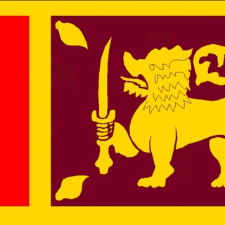 Grade 10 and 11 education Telegram Group Link