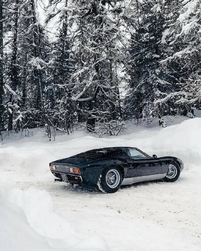 1973 Lamborghini Miura SV 5