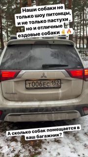 Собаки нашего питомника любят : — свои самые лучшие семьи ❤️- побеждать на выста…