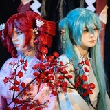 ⋆˚🎐Hisuke/Cosplay⋆˚🎐 (элитный кринж)