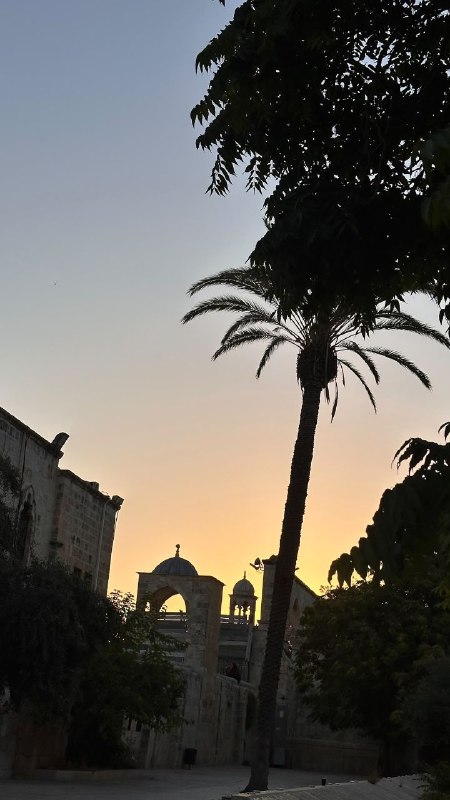 חצרות מסגד אל-אקצא המבורך הבוקר..