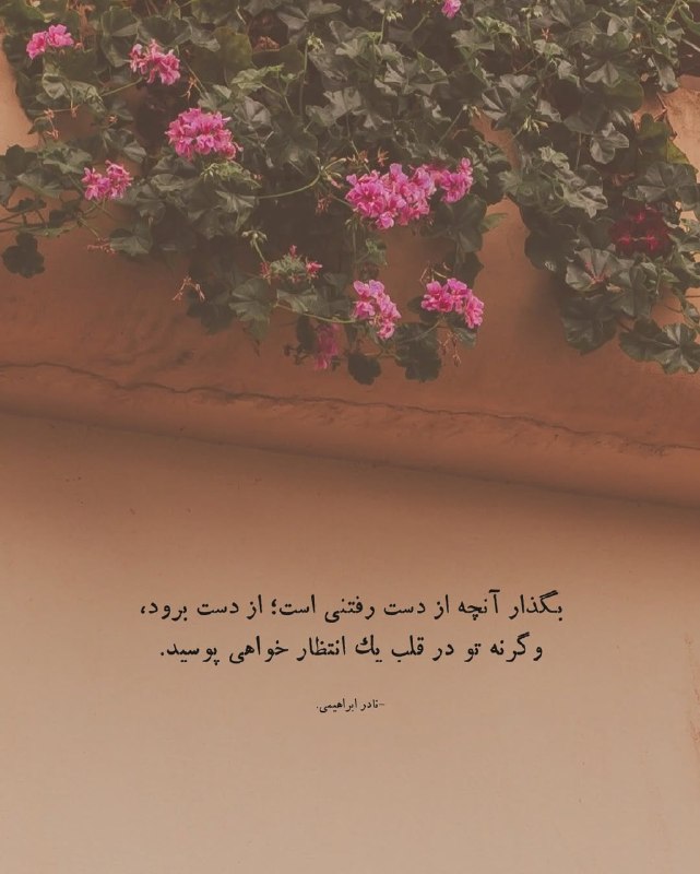 ژلوفن | gelofen: بگذار آنچه از دست رفتنی است؛ از دست برود،وگرنه تو در قلب یک انتظار خواهی پوسید.-نادر ابراهیمی.@gelofen | ژلـــوفـن