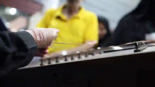 טיסה עם כנפיים פצועות; זהו סיפורם של פרפרים