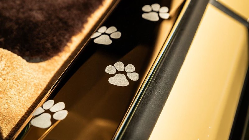 Rolls-Royce посвятил электрокар собаке 2