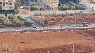 قوات الاحتلال تجبر الدفاع المدني على إزالة أشتال زيتون بالمغير