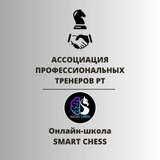 Шахматы Казань Фианкетто