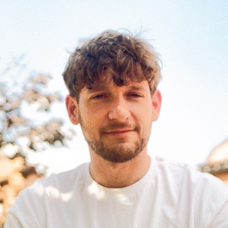 Логотип Denis Shashkin
