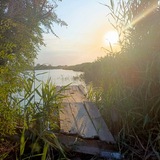 Буоргики и Геколики