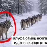 бэбимэби SK