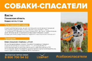 В Псковской области застрелили двух собак поисково-спасательного отряда «ЛизаАлерт», сообщила кинолог Юлия Иванова.По ее словам, это произошло во время тренировки по поиску тел погибших, на собаках были сигнальные попоны и громкие колокольчики, «рядом неск