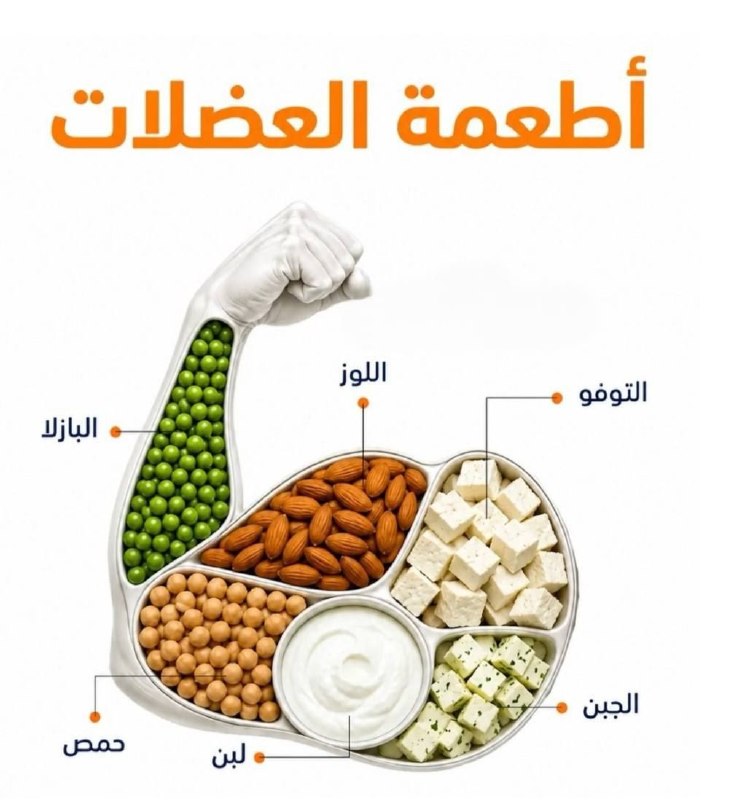 🇮🇶 חדשות אל נחיל 🇮🇶