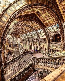 The Natural History Museum, London, was founded in 1881.Time Machine | Historical Photo