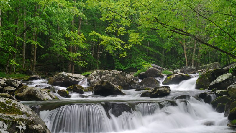Flowing through the SmokiesLittle Pigeon River, Great Smoky Mountains National Park, Tennessee (© GreenStock/Getty Images)