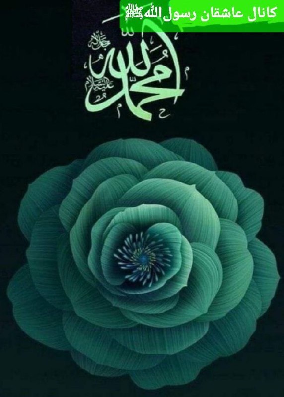 💞عاشقان رسول اللهﷺ💞: 🍃🍃🌸💚🌸🍃🍃🍃🌸الصلاة على النبي رزق وبركة وشفاعة💚🍃🌸اسم النبي له تحن مشاعري روحي ترفرف حين يحمله الصدى❤️🍃🌸نبضات قلبي حين يعبر م
