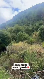 הזדמנות נדל"ן יוצאת דופן למכירה BAYDOUN ESTATES 🏞️