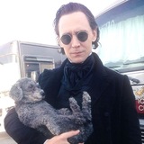 несу бред