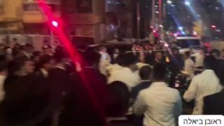 אלי הירשמן