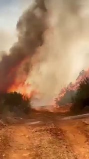 🚨 שריפה גדולה ביערות עין ג'ורפה - חסבאיה, ופונה להתערב במהירות ולכבות את השריפה לפני שתתרחב&33;
