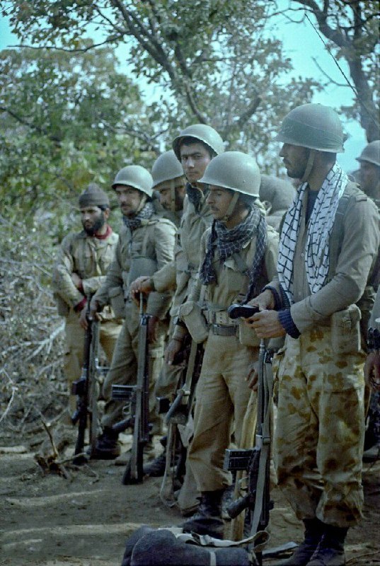 دوستان شهدا: قامتِ دینراست خواهد ماندتا این سَروهارو به رویِ یکه تازی تبرمی‌ایستند...
