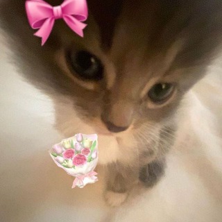 Telegram profile photo for GOOD VIBES 🎀