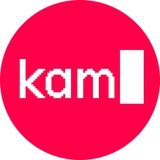 kamyshev.code