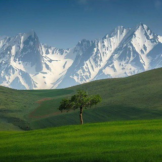 املاک عطا