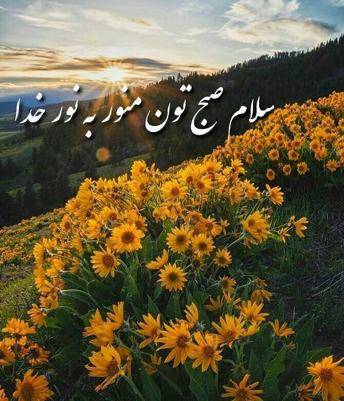 رمان خوانی: امروز...سعی کنیم یک " اتفاق خوب" در زندگی دیگران باشیم مهربان باشیم و رئوف بی شک ، هزاران مهربانی به ما باز خواهد گشت🌾سل