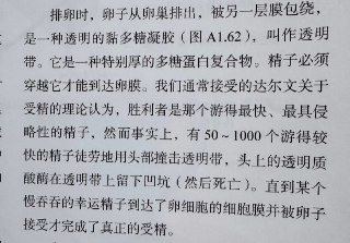 让我们生而为人的那颗精子当时游泳得了第一名？错！原来有生命的第一秒就昭示了“慢即是快”的道理。（截图来自《解剖列车》）