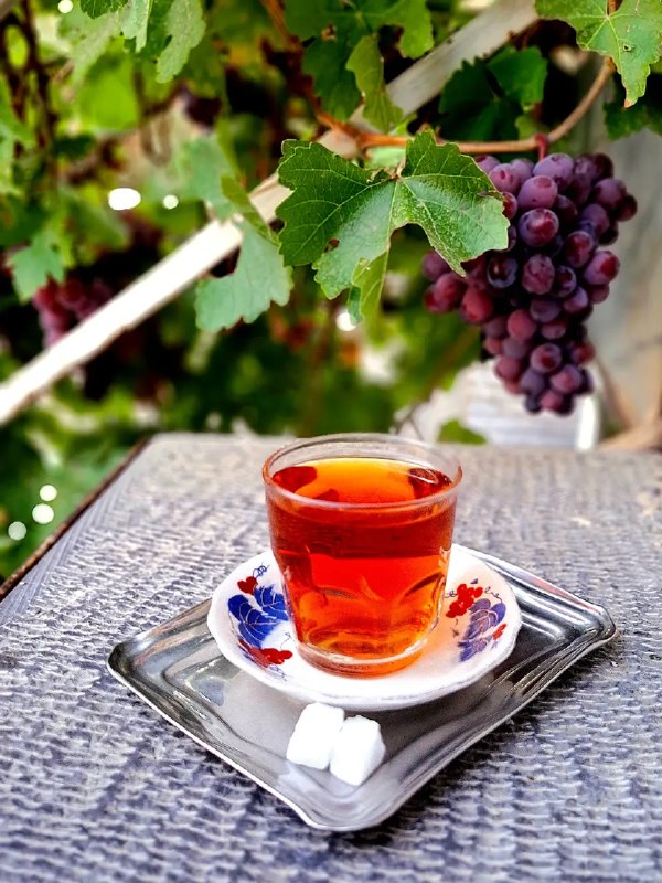 آرامش با 💐|RangiRangi: زندگی رو نذار براى وقتى كه همه چيز سر جاش قرار گرفت .گاهی بايد با همين زندگی ناقص،سفر كرد،خنديد،دوست داشت،و زندگی كرد🍇☘