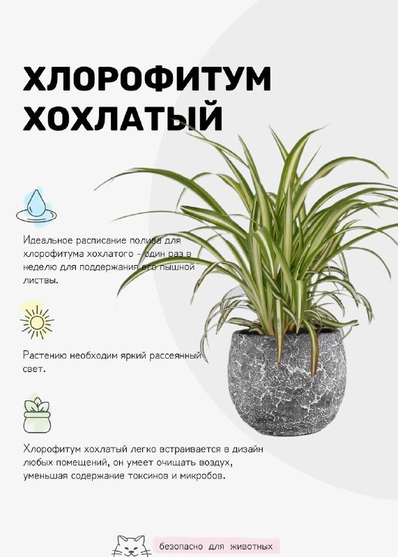  | Декор Интерьер Дизайн - изображение 2 - 
