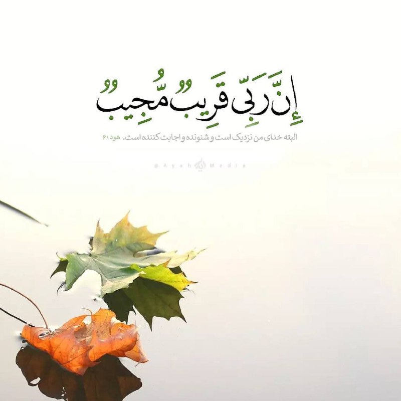 شبنم نادری: إِنَّ رَبِّي قَرِيبٌ مُجِيبٌالبته خدای من نزدیک است شنونده و اجابت کننده است.هود | ۶۱#قرآن_کریم