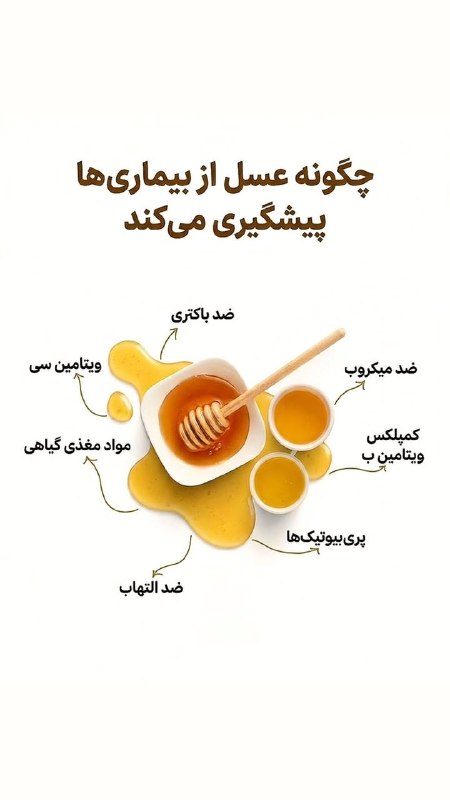 طالقانیها: 🗓31 مرداد روز عسل 🍯 نامگذاری شد.این روز را بر تولید کنندگان واقعی "زنبورداران" طالقان و کل کشور تبریک میگوییم@TALEGHANIH