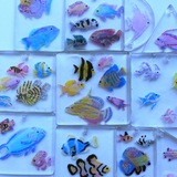 Мᥲᥴⲧᥱρᥴⲕᥲя Дᥱⲫⲫи и Дⲉɯ 🐠