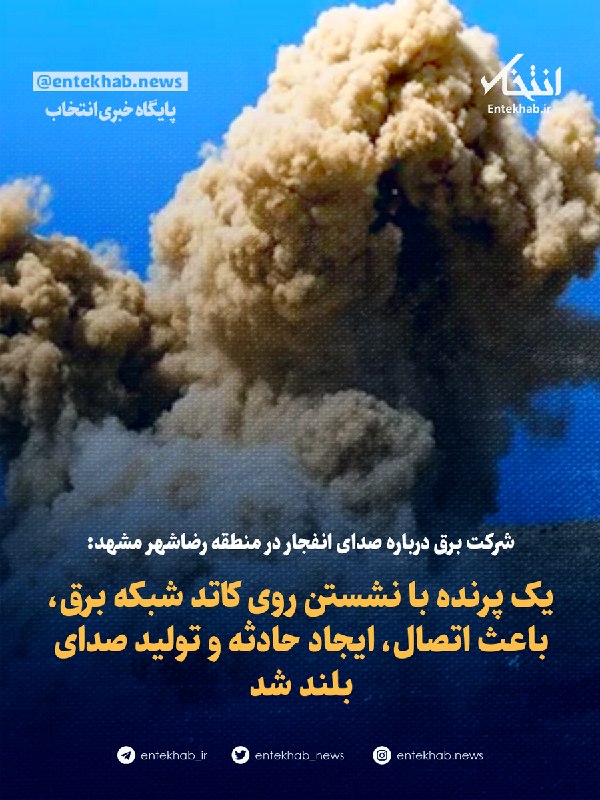 پایگاه خبری انتخاب ✔: ♦️ شرکت برق درباره صدای انفجار در منطقه رضاشهر مشهد:🔹 یک پرنده با نشستن روی کاتد شبکه برق، باعث اتصال، ایجاد حادثه و تول
