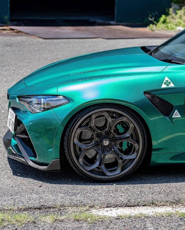 Alfa Romeo Giulia GTAm 2