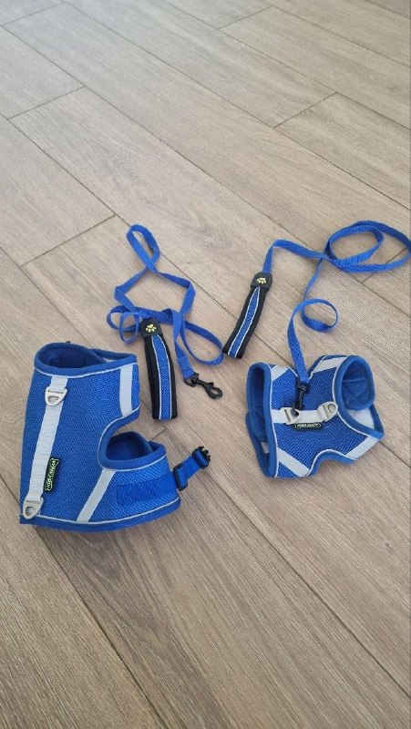 Шлейка с поводком и сумки для кошек