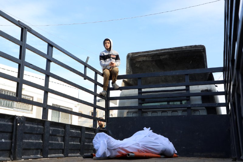 A New Job In Gaza Embodies The Horror: Corpse Recovery Before The Dogs Get There
